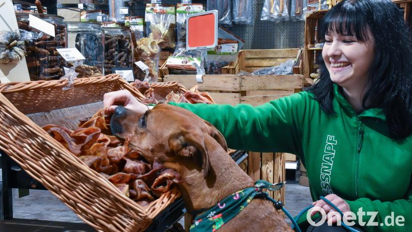 Was schenken Menschen ihren Tieren zu Weihnachten? Fressnapf-Hund Bailey schnüffelt sich durch das Geschäft für Heimtierbedarf. Im Bild mit Mitarbeiterin Juliane Schöberl. Bild: Stephan Huber