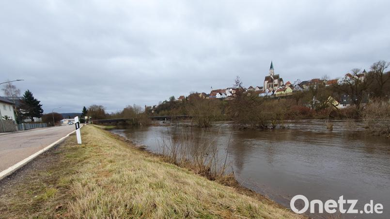 Auch wenn die Pegel wieder sinken, gleicht das Naabtal einer Seenlandschaft, wie hier an der Straße von Nabburg nach Perschen. Bild: Hösamer