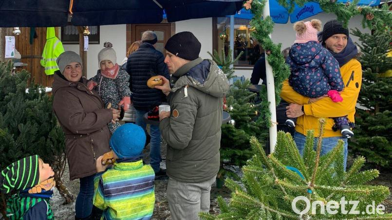Beim Christbaumverkauf der SG Luitpoldhöhe kamen rund 700 Euro zusammen. Bild: Claudia Poppel/exb
