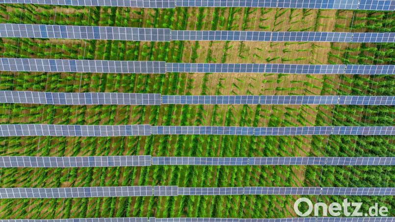 Unternehmer Andreas Mark will eine Agri-Photovoltaikanlage bei Ellenfeld bauen. In der Novembersitzung lehnte der Bärnauer Stadtrat den Bauantrag für eine Agri-Photovoltaik-Anlage trotz Privilegierung erneut ab. Laut Landratsamt ist der Grund für die Ablehnung rechtlich nicht haltbar. Bild: Armin Weigel/dpa