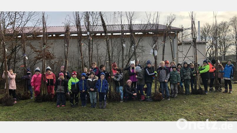 Jedes Trausnitzer Kind bekommt bei der Aktion &quot;Streuobst für alle&quot; einen Baum. Bild: Sabine Maderer/exb