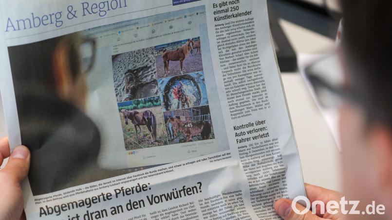 Die Geschichte mit den vernachlässigten Pferden im Landkreis beschäftigt die Menschen. Jetzt ist auch das Veterinäramt eingeschritten. Bild: Wolfgang Steinbacher
