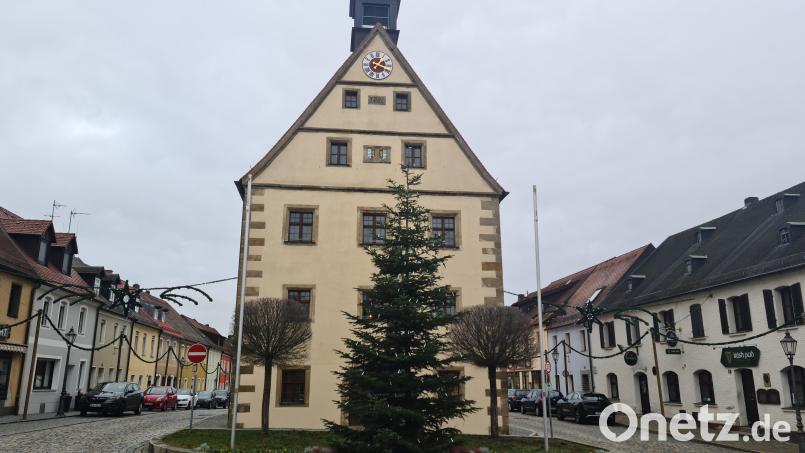 In der Weihnachtssitzung blickt der Stadtrat Grafenwöhr auch auf das Jahr zurück. Bild: sne