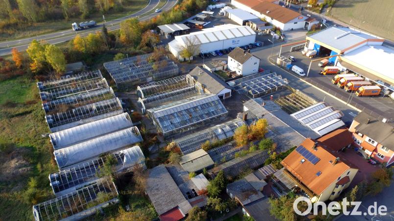 Auf dem Gelände der ehemaligen Gärtnerei Binner in der Tachauer Straße (gegenüber Eisen Knorr) soll ein Rewe-Markt entstehen. Archivbild: Michael Ascherl