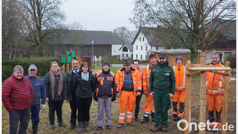 Unter der Leitung von Andreas Krös (Dritter von rechts) wird die neue Linde im Dorfzentrum von Ottenrieth gepflanzt. Zuvor hatte der Waldthurner Bauhof die bisherige erkrankte Dorflinde, die ein Naturdenkmal darstellte, entfernt. Bild: fvo