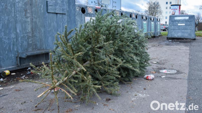 &quot;Alle Jahre wieder&quot;, auch diesmal, in der Merianstraße in Amberg: Ausgediente Christbäume werden einfach auf dem Containerstandort abgelegt: Das ist verboten. Bild: Stephan Huber