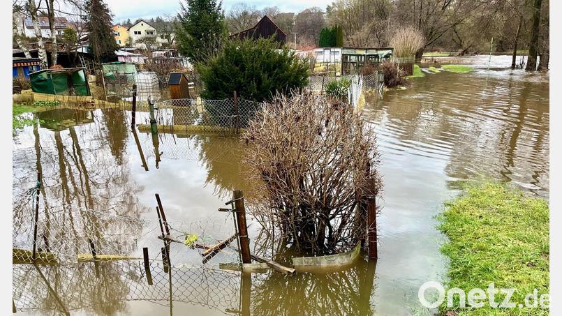 Bei der Adolf-Kolping-Straße in Neustadt/WN reicht das Hochwasser am Mittwoch bis in einige Gärten hinein. Bild: Gabi Schönberger