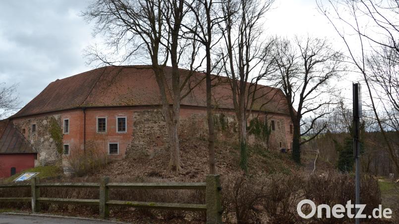Unter anderem die gemeindlichen Bäume an der Schlossanlage Burgtreswitz sind im neuen Baumkataster aufgeführt. Bild: gi
