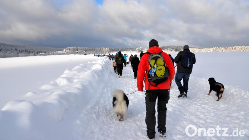 Wandern mit tierischer Unterstützung: Auch zwei Touren mit Hunden sind im umfangreichen Programm der Ochsenkopf-Winterwandertage zu finden. Bild: Simone Werner-Ney/exb