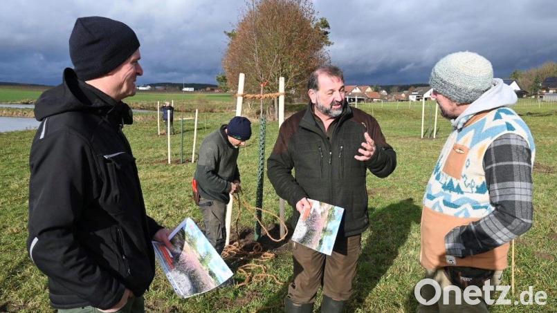 Wildlebensraumberater Balduin Schönberger (Mitte) konnte Landwirt Gerhard Flierl (Links) und den Vertreter der Sielmann-Stiftung, Bernhard Gohlke (Rechts), dafür gewinnen, im Rahmen des Modellgebiets „Rebhuhn Mittlere Oberpfalz“ eine Streuobstwiese anzulegen. Bild: Armin Hofbauer/AELF Regensburg-Schwandorf/exb