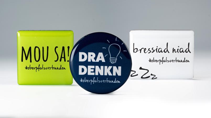 Die Dialekt-Magnete im Set. Bild: gld