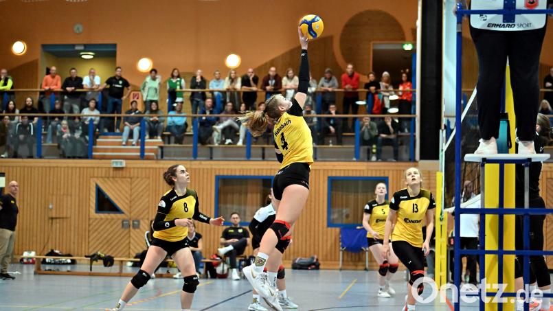 Kapitänin Julia Polito (Mitte) vom SV Hahnbach kann in dieser Szene den Ball gefühlvoll über das Netz heben. Mit ihren Teamkolleginnen will sie am Sonntag den guten Lauf von zuletzt fortsetzen. Bild: Hubert Ziegler