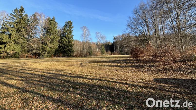 Am oberen Rand dieser Wiese soll von privater Hand ein Naturgarten entstehen. Der Gemeinderat will sich aber die Örtlichkeit am Leinberg erst noch einmal anschauen. Bild: ge