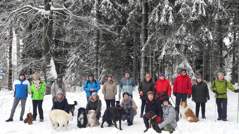 Die Wanderung mit Hunden, organisiert vom Fichtelgebirgsverein Mehlmeisel, ist ein beliebter Programmpunkt der Winterwandertage. Archivbild: gis