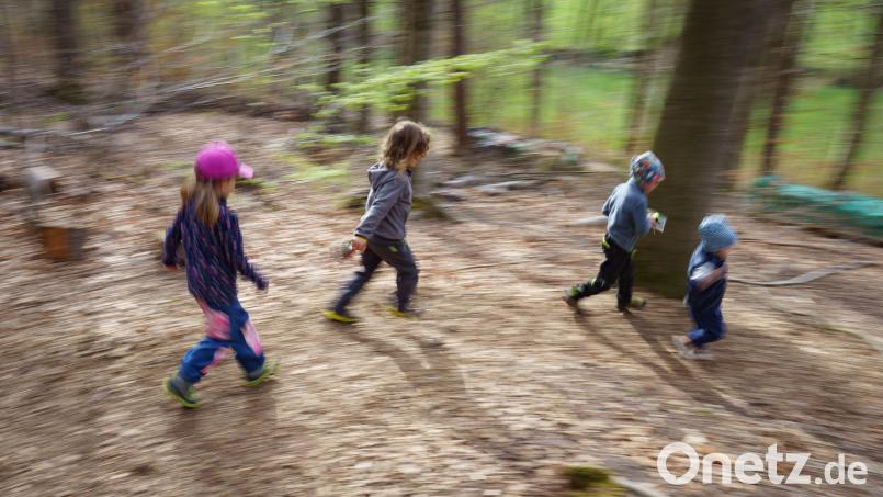 Herumtoben im Wald wie es hier auf dem Symbolbild zu sehen ist - das könnte vielleicht auch bald im Zusammenhang mit einem Waldkindergarten in Leonberg oder Mitterteich möglich sein. Symbolbild: Frank Rumpenhorst/dpa