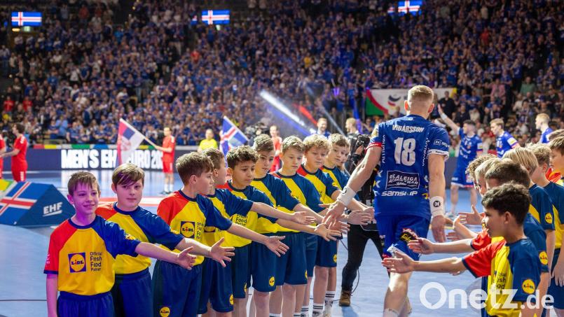 Die Jungs und Lina Most vom HV Oberviechtach beim Einlauf der isländischen Handballnationalmannschaft in die Münchener Olympiahalle. Auch leo (Sieber von links) und sein Zwillingsbruder Emil (Neunter von links) sind voll bei der Sache. Bild: Günter Uschold