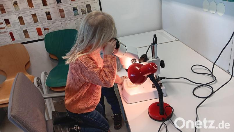 Kinder erforschen die Steine im Geo-Zentrum Windischeschenbach. Bild: Marina Krisch/exb