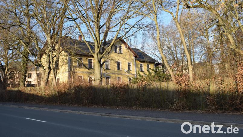 Neben der Sanierung und dem Umbau der Giesecke-Villa plant die Fischer Immobilien GmbH auch den Neubau eines Mehrfamilienhauses auf dem rund 5500 Quadratmeter großen Gelände. Der Park bleibt dabei erhalten. Bild: szl