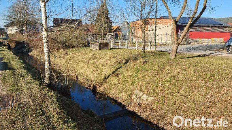 Sitzstufen, Wasserspiele und Trittsteine sollen Leute an den Schwarzenbach locken. Bild: sne