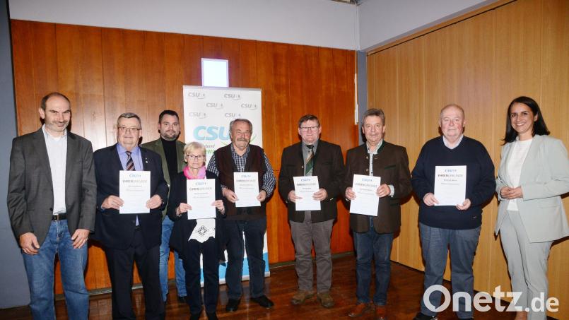 CSU-Ortsvorsitzender Roland Rauch (links), Bürgermeister Sebastian Hartl (Dritter von links) und Kreisrätin Tanja Renner (rechts) ehren die langjährigen Mitglieder Artur Leonhardt (50 Jahre), Annika Leonhardt, Georg Duschner, Gerhard Kres, Bernhard Meiler und Manfred Weiß (alle 40 Jahre, von links). Bild: bey