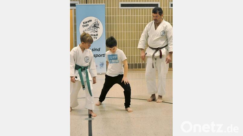 Aktive Karatekas vermitteln Interessenten die ersten Schritte und die Begeisterung für ihren Sport beim TV Vohenstrauß. Bild: Ernst Kirschsieper/exb