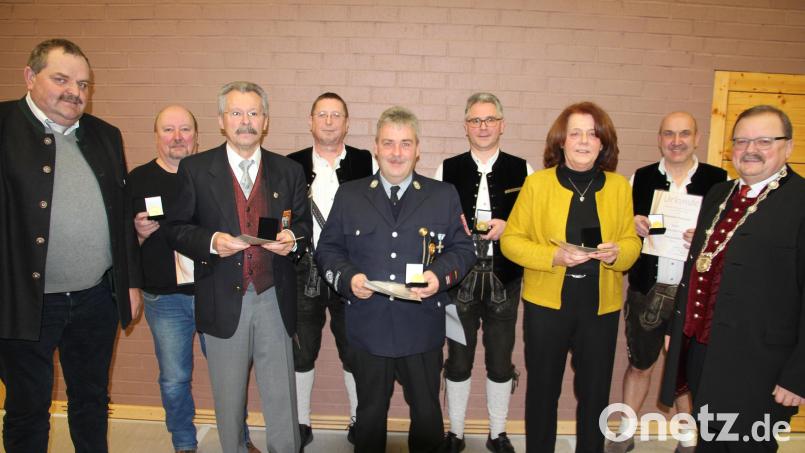 Zahlreiche Bürger wurden mit der Verdienst- oder Vereinsmedaille geehrt. Unser Bild zeigt (von links) Zweiten Bürgermeister Michael Schedl, Christian Schwamberger, Sigmund Schütz, Klaus Sladky, Thomas Schüßler, Toni Freundl, Angelika Franz, Alexander Franz und Bürgermeister Alfred Stier. Bild: kro