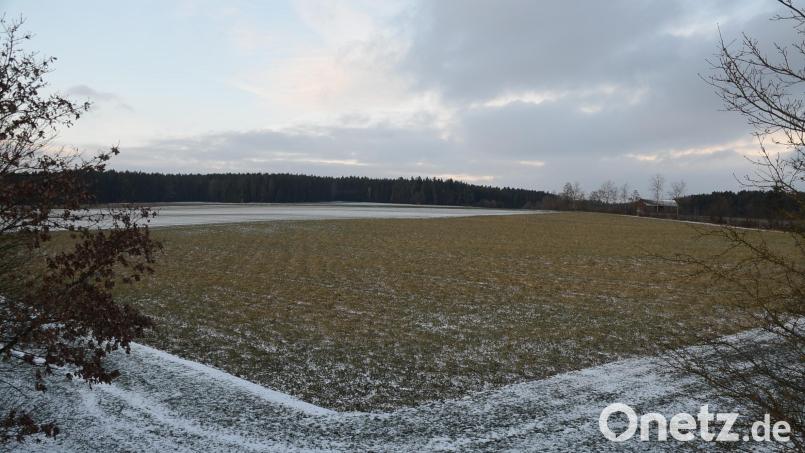 Das Windkraftvorranggebiet Steinkreuz bei Zeulenreuth: Hier sollen auf gemeindlichen Flächen drei Windkraftanlagen entstehen. Bild: ak