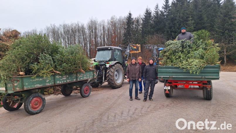 Rund 120 Bäume sammeln die Mitglieder des Obst- und Gartenbauvereins Wolfring in Freihöls, Wolfringmühle und Wolfring ein. Bild: Ziegelmeier/exb