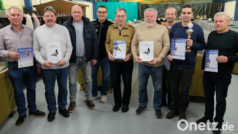 Die Brieftauben-RV Pegnitz mit Einsatzstellen in Immenreuth, Kirchenlaibach, Pressath und Thurndorf ehrt ihre Meister der Wettflugsaison 2023. Bild: do