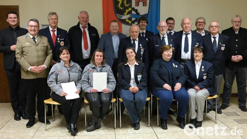 Landrat Thomas Ebeling (links) überreicht zwölf ehrenamtlichen Helfern im Rettungswesen das Ehrenzeichen des Landkreises. Mit im Bild die Ehrengäste, die die Laudatio halten. Bild: Hirsch