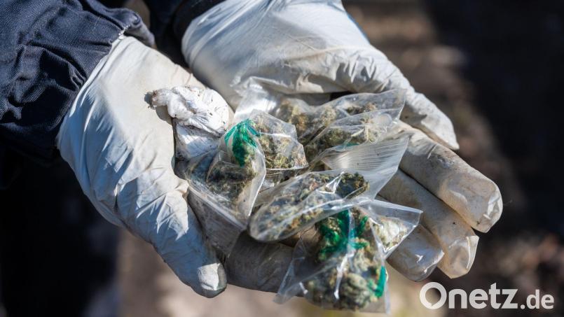 Eine Polizistin hält kleine Tütchen mit Marihuana in den Händen. Symbolbild: Christophe Gateau/dpa