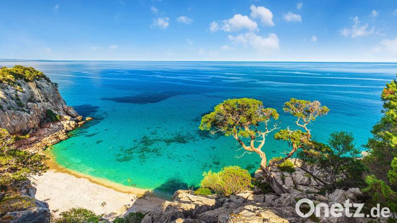 LIVE-Panorama-Multivision von Michael Fleck Bild: Michael Fleck/exb