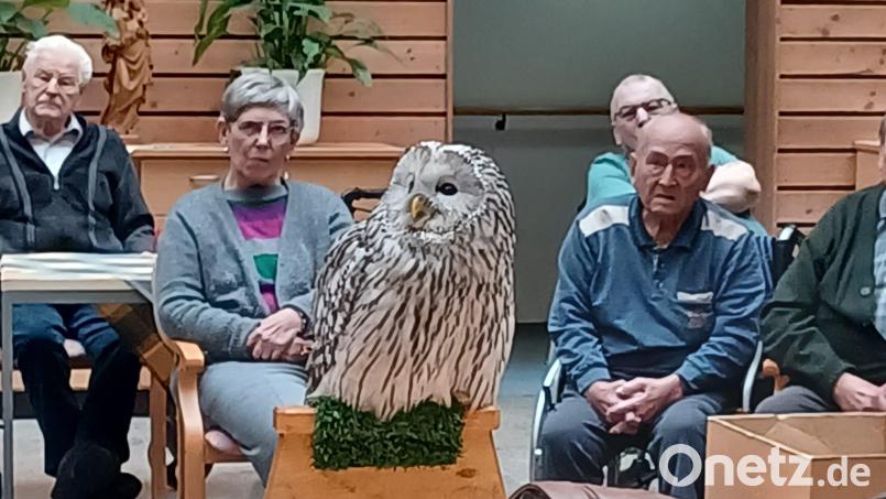 Die Heimbewohnerinnen und -bewohner genossen die Zusammenkunft mit Habichtskauz „Birke“. Bild: Vera Asberger/BRK-Seniorenzentrum Kemnath/exb