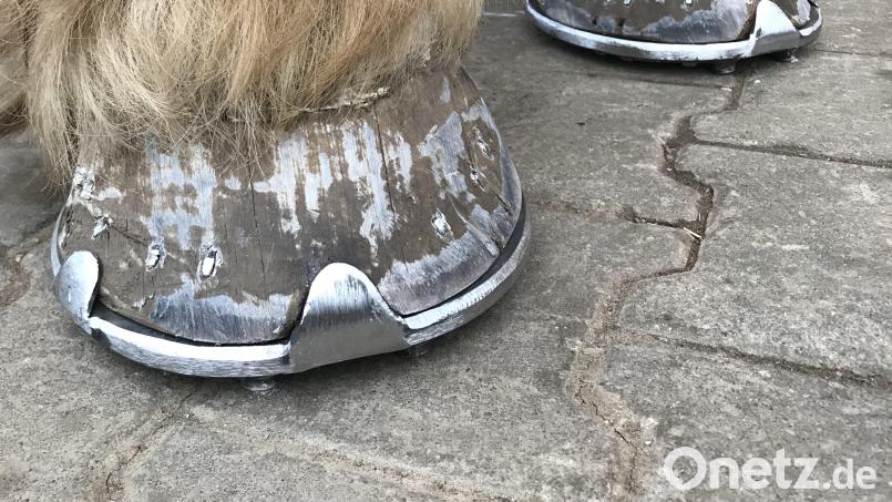 Perfekt gepflegt sehen die Pferdefüße mit den neuen Hufeisen aus. Bild: Pickel/exb