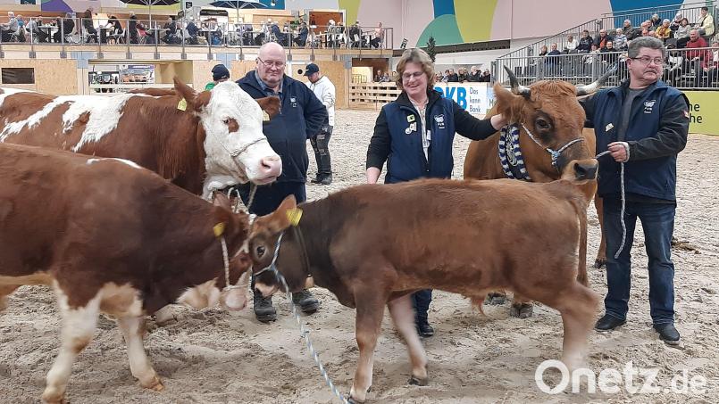 Erika Sauer, Vorsitzende des Fleischrinderverbands Bayern, und ihr Mann Günter (rechts) bei einer Rassepräsentation in der Tierhalle der Grünen Woche in Berlin. Das Ehepaar aus Burgtreswitz bei Moosbach zeigt und erklärt den Besuchern der Internationalen Messe die Vorteile der Mutterkuhhaltung für Mensch und Tier. Ihre eigenen Rinder der Rasse Rotes Höhenvieh haben die Oberpfälzer diesmal nicht mit nach Berlin genommen. Bild: Fleischrinderverband Bayern/exb
