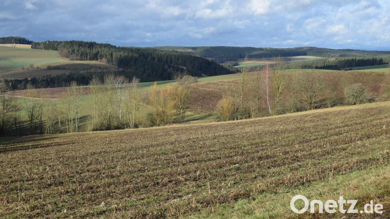Etwas abgelegen und abseits jeder Bebauung soll am Rande des Geländeabschnitts &quot;Am Hübel&quot; im Ortsteil Schwarzberg eine neue PV-Freiflächenanlage entstehen. Das Areal hat eine Größe von fünf Hektar. Bild: bnr