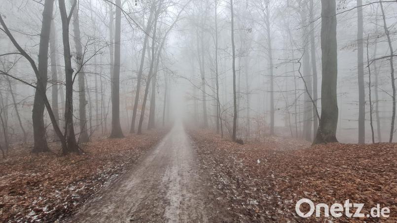 Winterlicher Weg am Mariahilfberg im Januar. Im Wald steht ein Holzeinschlag an. Das städtische Forstamt weist Spaziergänger und Sportler darauf hin. Bild: .Martin Seits, Stadt Amberg/exb