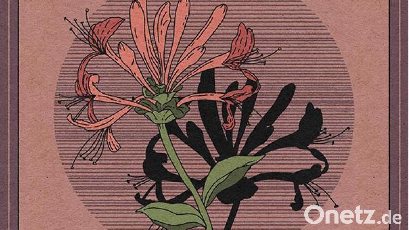Amos Lee - Honeysuckle Switches (Thirty Tigers) Bild: Thirty Tigers