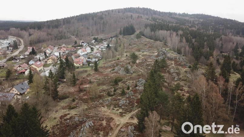 Vereinzelt sollen beim Hochfels wieder Bäume entfernt werden um den Lichteinfall für den Bodenbewuschs weiter zu fördern. Archivbild: mmj