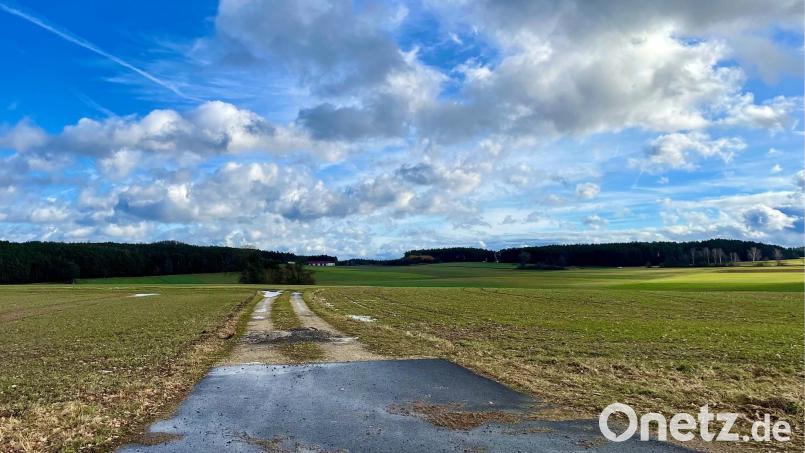 Hier soll nahe Großschönbrunn ein neuer Kernweg ausgebaut werden. Bild: Krones