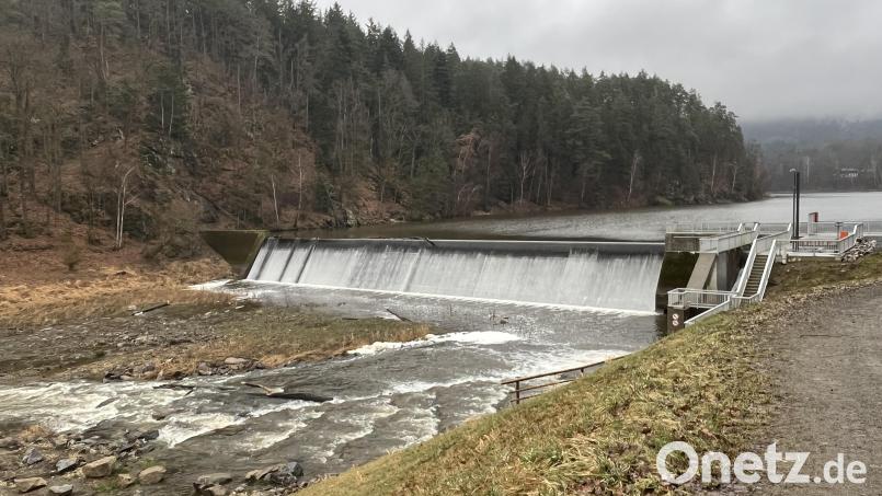 So sieht die 1987 errichtete Vorsperre des Eixendorfer Stausees in Höhe des „Salzfriedlhofs“ aus. Den Schlamm, der sich hier abgelagert hat, macht der Stadtrat mitverantwortlich für eine drohende Algenblüte. Bild: sns