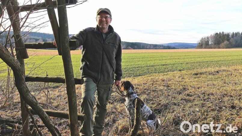 Grüne Fluren im frostigen Januar: Jäger Gerhard Eckl kann auf die Wildfütterung verzichten und sich am Hochsitz im Pirkhofer Revier der Fuchsbejagung widmen. Bild: Portner