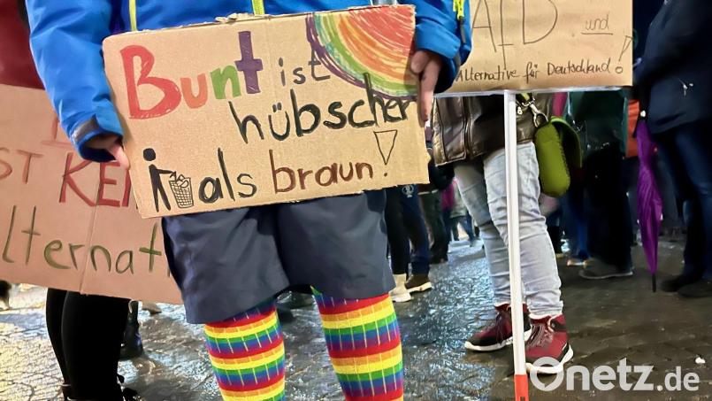 &quot;Bunt ist viel hübscher als braun&quot;, fand dieser Demonstrant, und zeigte es in Weiden. Amberg setzt am Sonntag, 4. Februar, ein Zeichen gegen den Faschismus. Bild: Gabi Schönberger