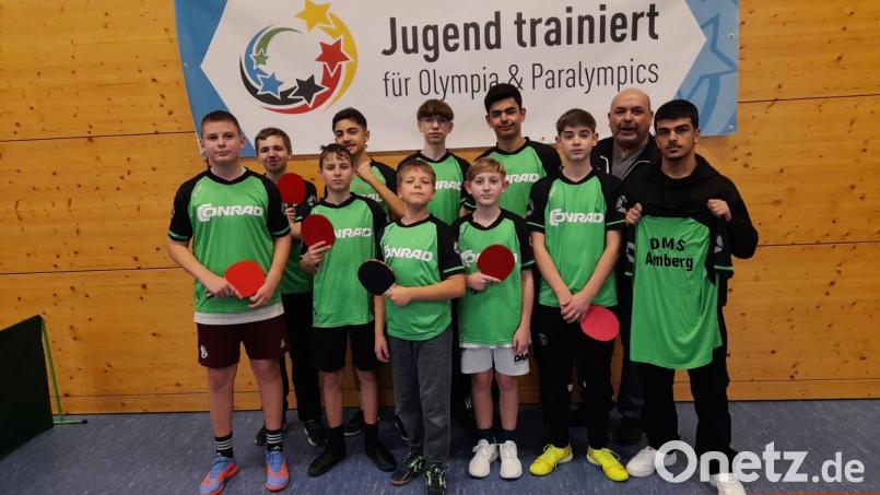 Stolz zeigten sich die erfolgreichen Schüler aus dem Dreifaltigkeitsviertel über ihre Erfolge: Erster in der Oberpfalz, Dritter in Nordbayern und Vierter in Bayern. Vorne, von links: Alex Ziebert, Christian Berze, Gleb Maas, Christian Ulrich (alle 7a), Dennis Krausch, Alan Duman (beide 9a); hinten, von links: Dominik Spaniel, Arda Kilic (beide 9a), Dominik Koller (9b) und Rus Firas (9a) mit Lehrer Thomas Gebele Bild: gel