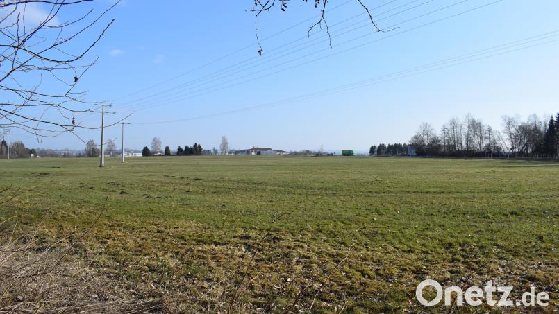 Auf einer rund 37 Hektar großen Fläche im Süden von Tirschenreuth will die Ziegler-Group 220 Millionen Euro in den Neubau eines Werkes für die Fertighausproduktion investieren. Derzeit werden die Stellungnahmen nach der ersten öffentlichen Auslegung des Bebauungsplanes eingearbeitet. Archivbild: szl