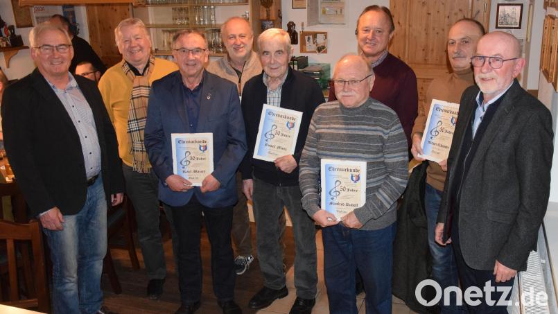 Langjährige Mitglieder zeichnet der Männergesangverein Schmidmühlen aus (von links): Zweiter Bürgermeister Martin Bauer, Paul Böhm, Karl Bauer, Josef Popp, Josef Metz, Manfred Rudolf, Karl Fochtner, Michael Eckmeder und Vorsitzender Ernst Lesser. Bild: bö