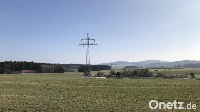 Werden modernisiert: Die Hochspannungsleitungen zwischen Oberviechtach und Rötz Bild: Bayernwerk Netz GmbH/exb