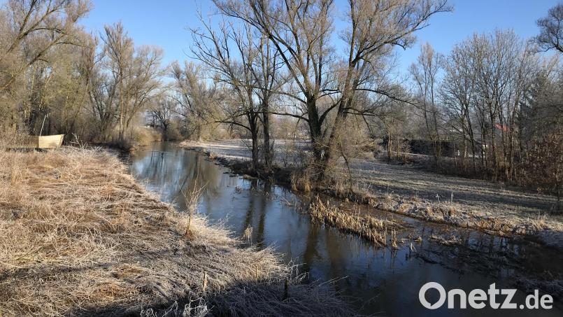 Idyllisch, aber noch nicht erschlossen präsentieren sich wohl noch längere Zeit die Ufer der Vils im Bereich Hahnbach. Der ökologische Ausbau wird umgeplant und verzögert sich dadurch. Bild: mma
