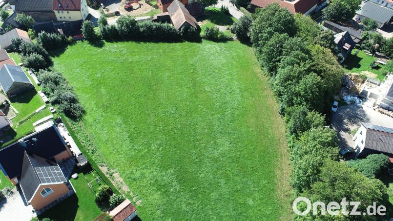 Diese Wiesenfläche an der Georg-Zimmermann-Straße ist nach den Planungen von Landschaftsarchitekt Matthias Rembold als Ausgleichsfläche für den &quot;Solarpark Sandhut&quot; vorgesehen. Bild: bey