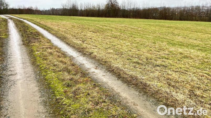 Auf dieser Wiese oberhalb des Breiten Wegs in Neustadt will die Zeno GmbH einen Solarpark auf 3,5 Hektar errichten. Auch auf dem benachbarten Feld stehen bereits Solarpaneele. Bild: Gabi Schönberger